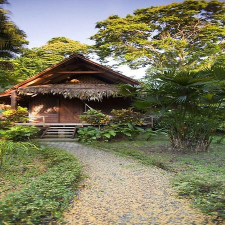 Azania Bungalows Puerto Viejo de Talamanca Екстер'єр фото