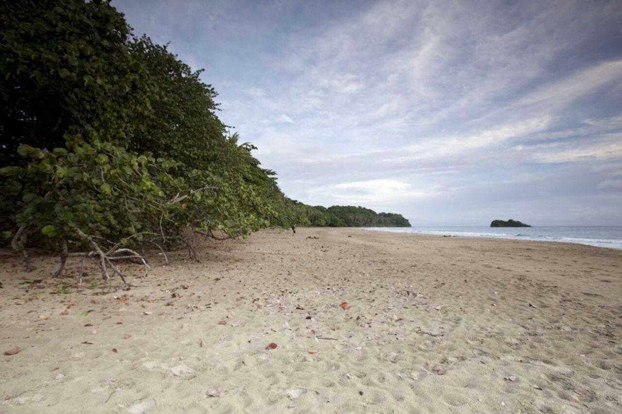 Azania Bungalows Puerto Viejo de Talamanca Екстер'єр фото