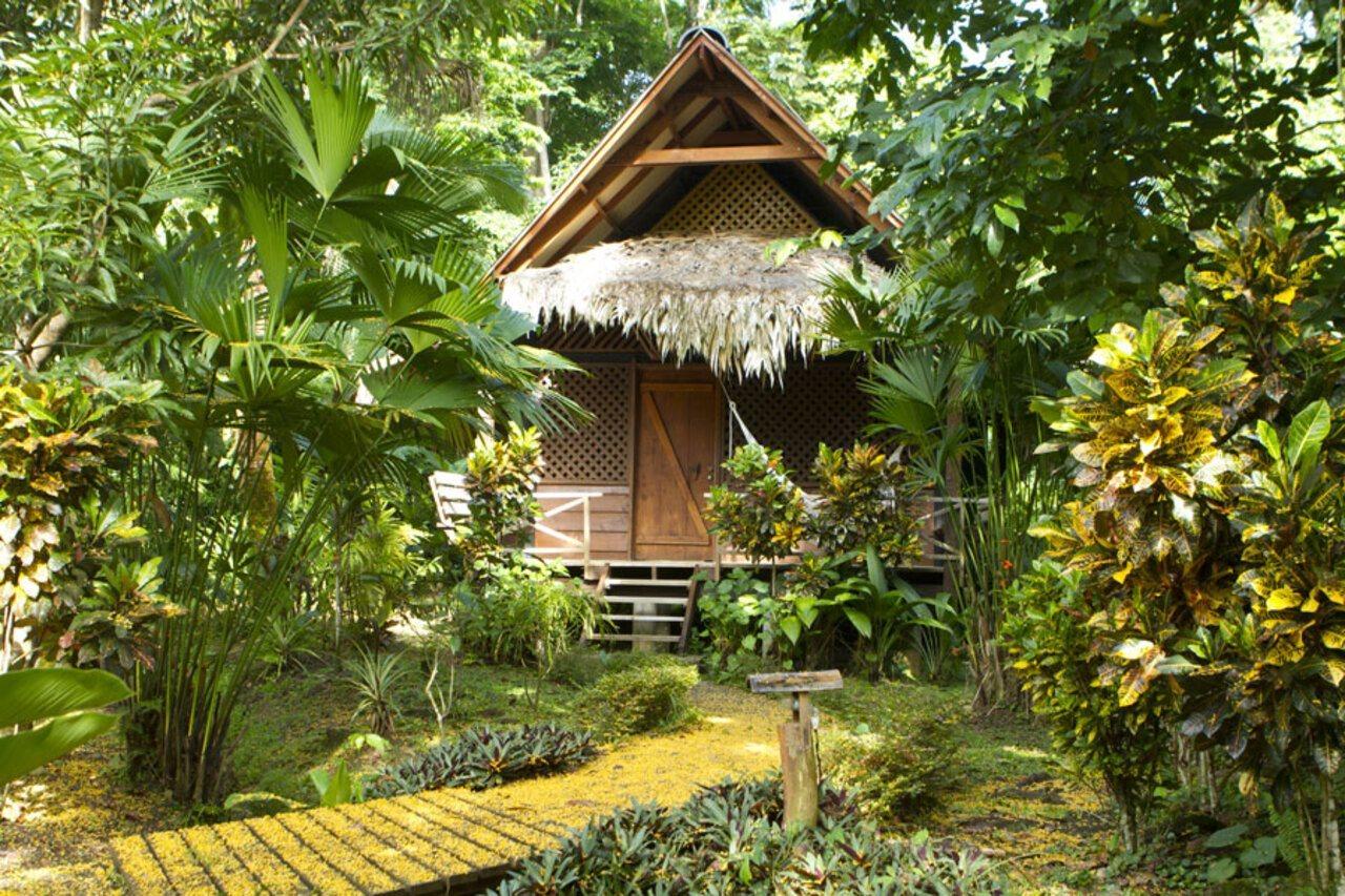 Azania Bungalows Puerto Viejo de Talamanca Екстер'єр фото