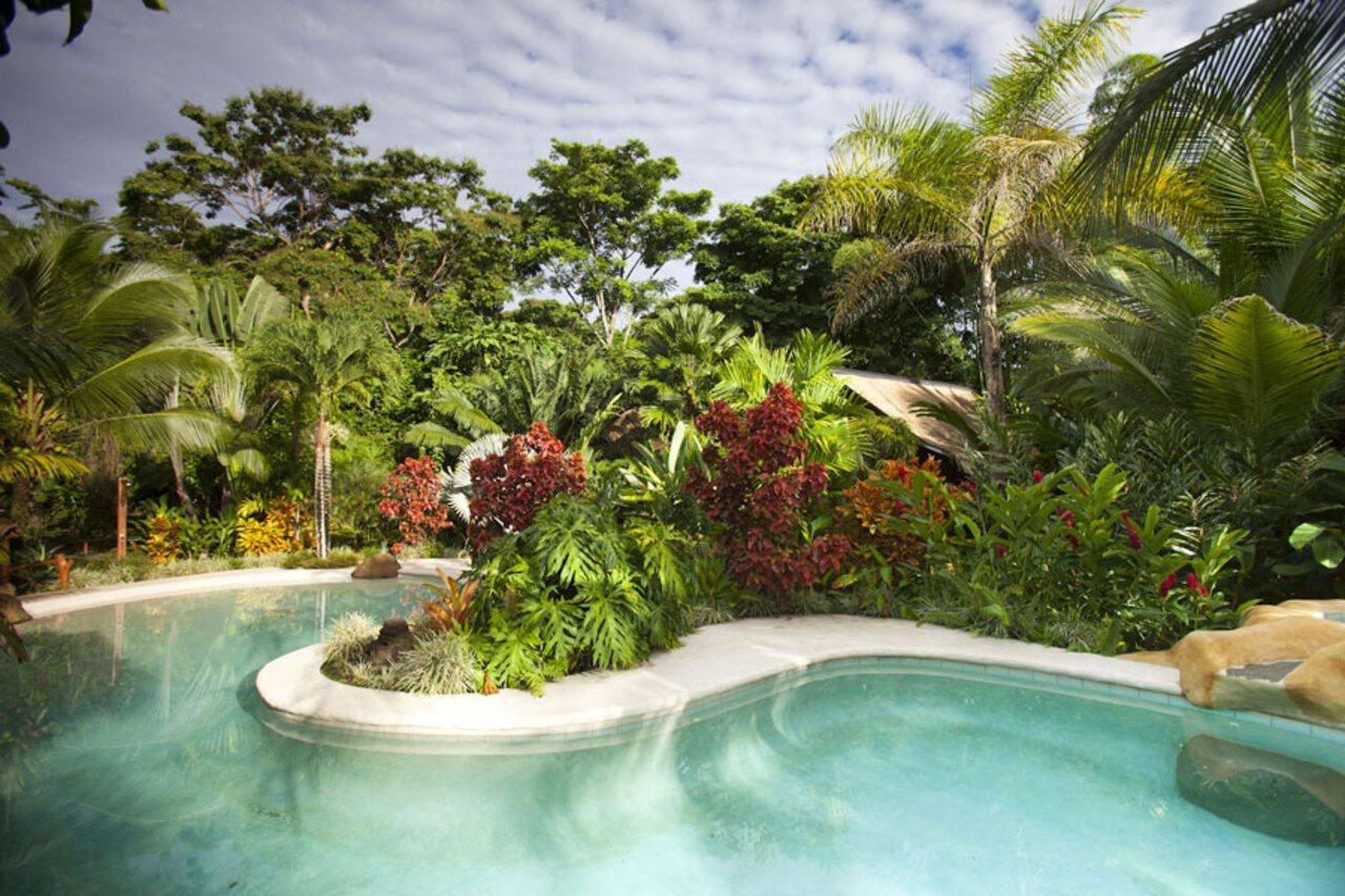 Azania Bungalows Puerto Viejo de Talamanca Екстер'єр фото