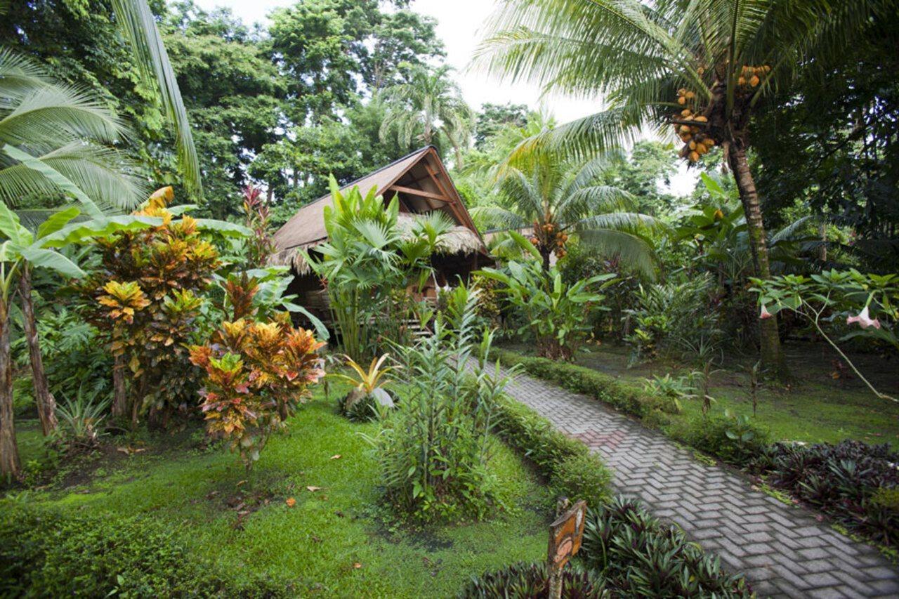 Azania Bungalows Puerto Viejo de Talamanca Екстер'єр фото