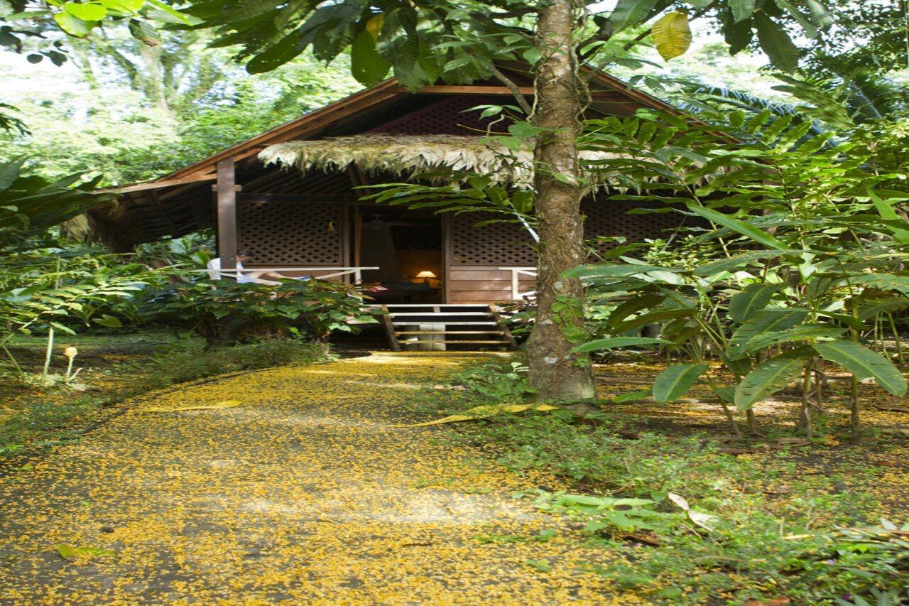 Azania Bungalows Puerto Viejo de Talamanca Екстер'єр фото